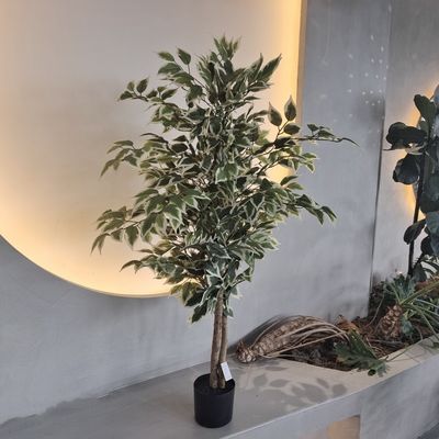 खरीदें हाइपोएलर्जेनिक प्लास्टिक नकली पौधे कीट प्रतिरोधी 120CM online manufacture