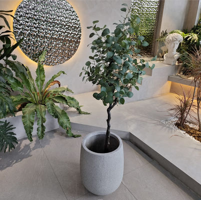 फाइबरग्लास के फूलों के बर्तनों से एक सुंदर बगीचा बनाएं