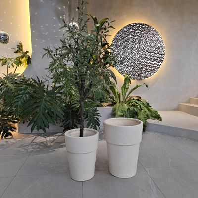 अनुकूलित फाइबर सीमेंट पॉट के साथ हाथ से नक्काशीदार परिष्करण परम संयंत्र प्रदर्शन समाधान