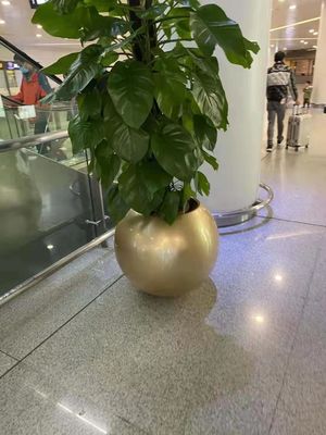 नाम