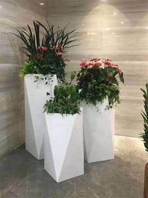 नाम