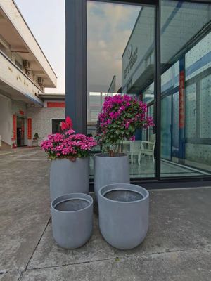नाम