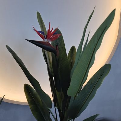 नाम