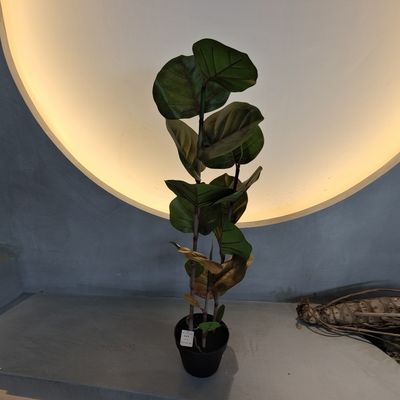 नाम