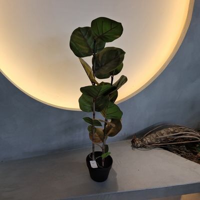 नाम