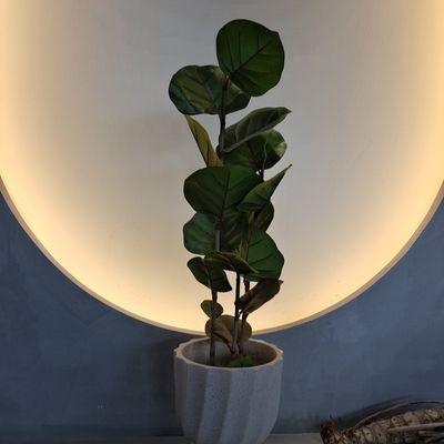 नाम