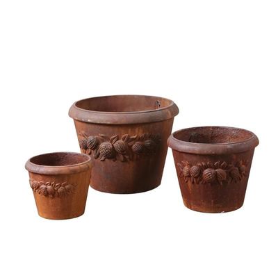 नाम