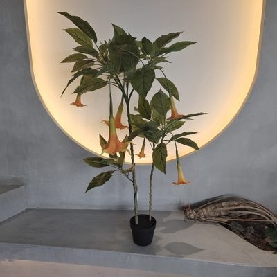 नाम