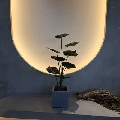 नाम