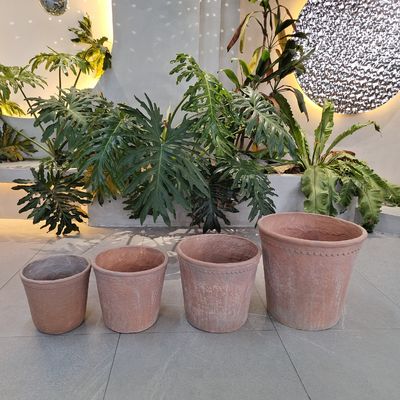 नाम