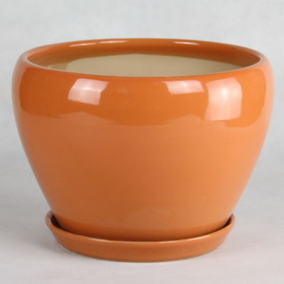 नाम