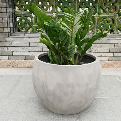 नाम