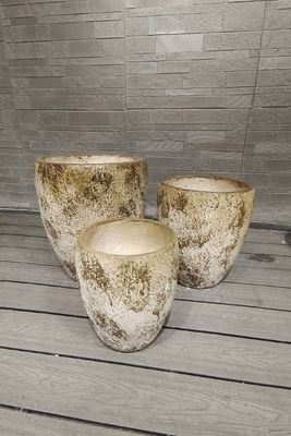 नाम